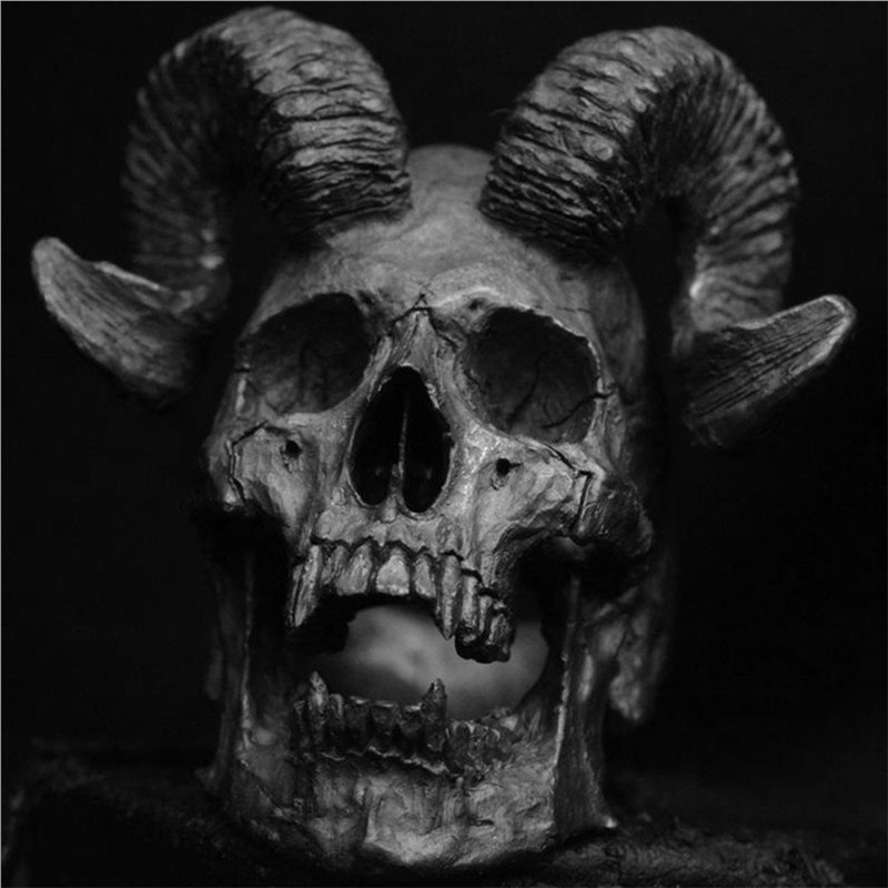 2X Anillo de Acero Inoxidable  - Gothic Skull Ring reseña y precio