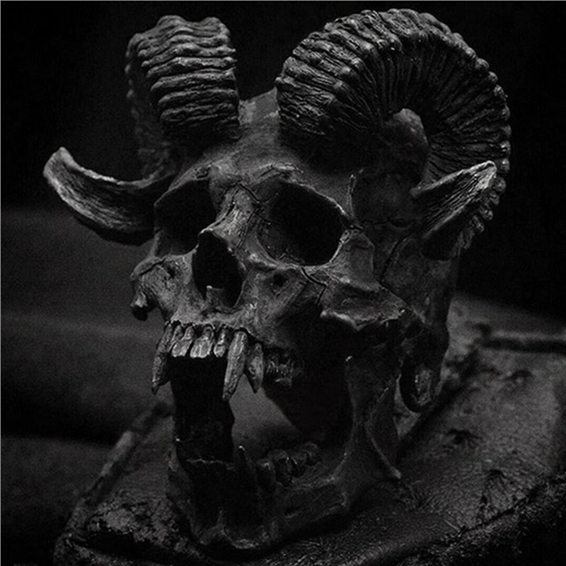 2X Anillo de Acero Inoxidable  - Gothic Skull Ring reseña y precio
