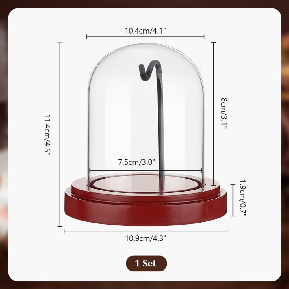 Vitrina de reloj de bolsillo d - Jewelry Making Watches reseña y precio